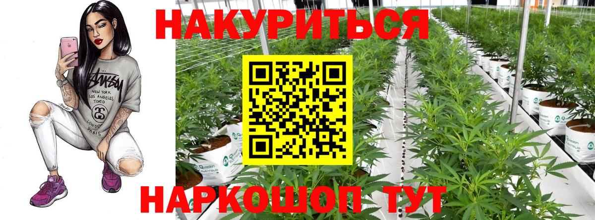 Бошки марихуана гибрид  Марихуана OG Kush  Чернушка  МАРИХУАНА план  Каннабис OG Kush  Вход с VPN 